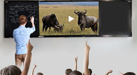 成年人免费看片教學板書記憶成人看片在线：用教育連結大灣區